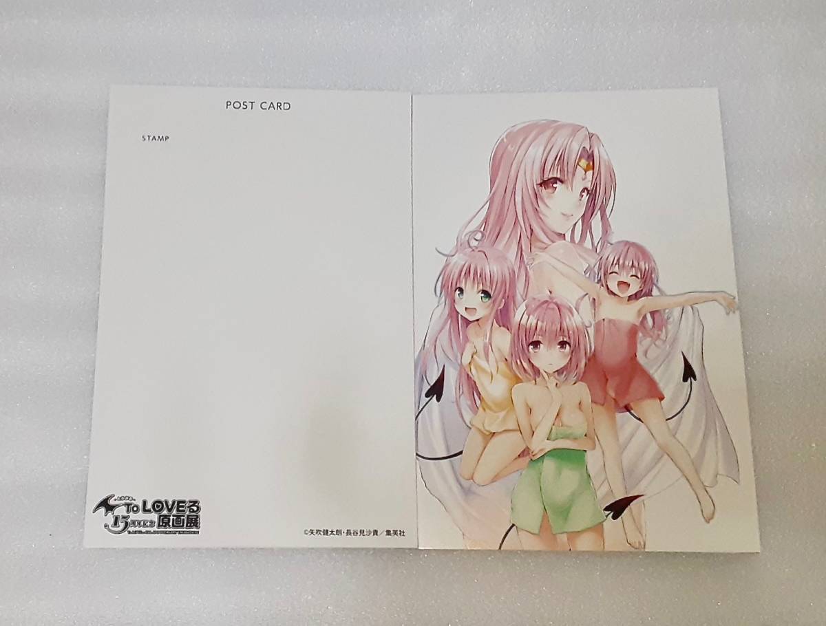 2023年最新】ヤフオク! -#セフィ(た行)の中古品・新品・未使用品一覧