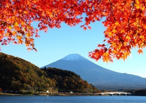 Maple Fuji Mt. Fuji Lake Kawaguchi Autumn Leaves Painting Style Wallpaper Poster Extra Large A1 Version 830 x 585mm (Peelable Sticker Type) 026A1, printed matter, poster, others