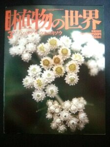 Ba1 06164 週刊朝日百科 植物の世界(3) 1994年5月1日号 ハハコグサ/ウスユキソウ/カザニア/ヨモギ クラカタウの大噴火と熱帯林の再生 他