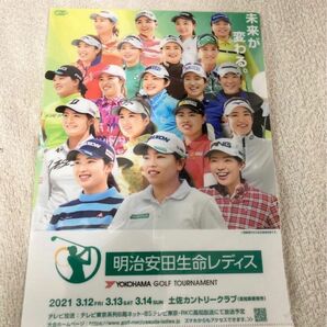 【新品未使用】女子ゴルフ A4クリアファイル