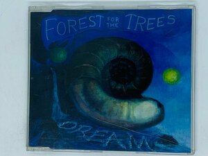 即決CD FOREST FOR THE TREES / DREAM / フォレスト・フォー・ザ・トゥリーズ F01
