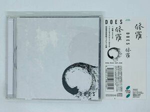 即決CD DOES 修羅 / ダズ / 「銀魂」エンディングテーマ / ワインディング・ロード / 帯付き R06