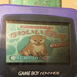 GBC かわいい仔犬 （ソフトのみ）の画像4