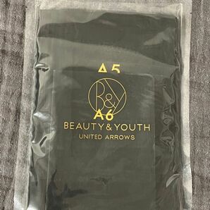 新品 Beauty&Youth A5 A6 ノート セット
