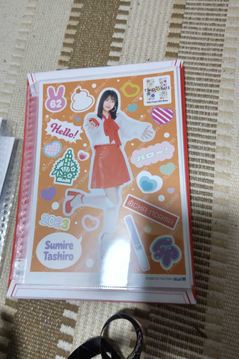 オチャノーマ チェキ 田代すみれ OCHA NORMA www.gastech.com.tr