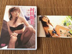 村田和美/蒼い海 中古DVD