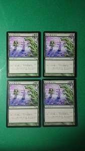 MTG《忍び寄るカビ/Creeping Mold》ソーサリー　ミラディン　日本語　４枚 同梱発送可