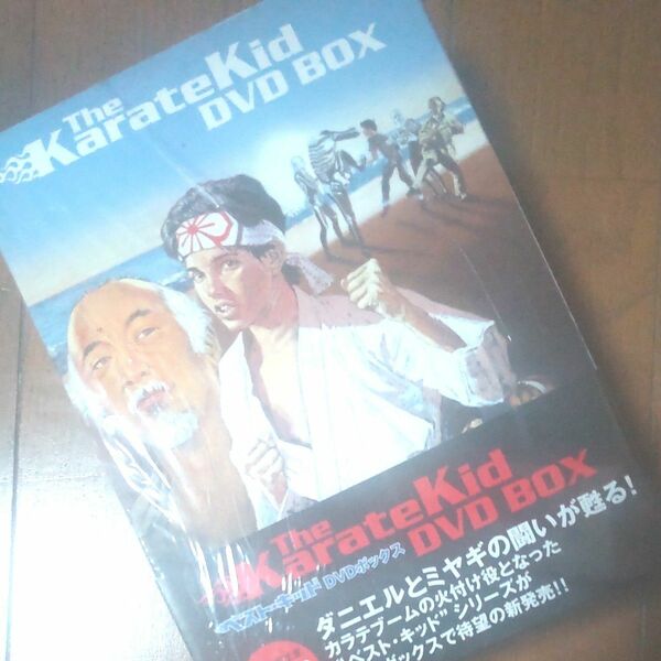 ベストキッド ＢＯＸ／ジョンＧ．アヴィルドセン （監督） ラルフマッチオ DVD　映画　空手道