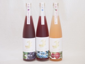 愛知果物キュール3本セット(日本酒ブレンドパッションフルーツ 純米酒ブレンド巨峰 焼酎ブレンドブルーベリー) 500ml×3本