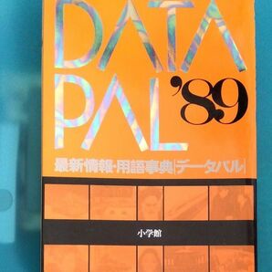 データパル89