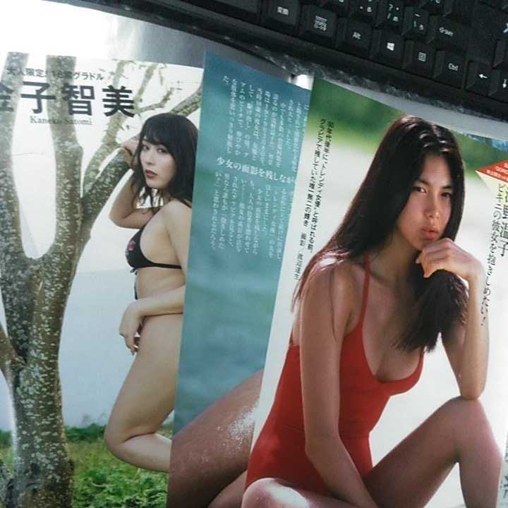 ◎大量◎希少◎河合奈保子◎切り抜き60ページ◎ 超高品質で人気の 49.0