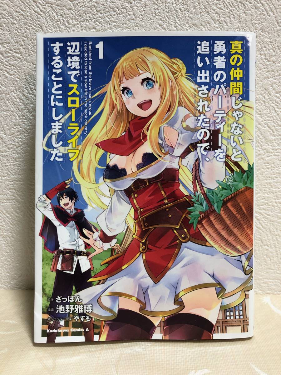 真の仲間じゃないと勇者のパーティーを追い出されたので アクリル