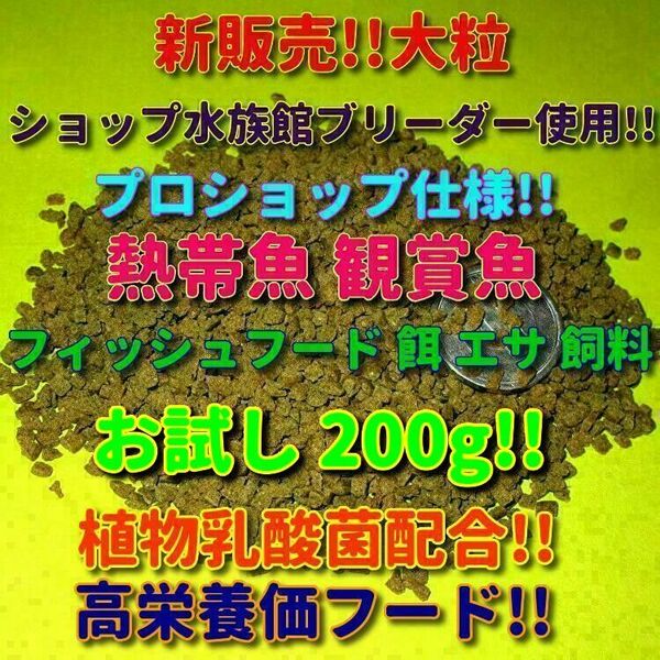 新販売! 大粒 プロ仕様 熱帯魚 餌 200g ショップ 水族館使用 エサ 飼料 フィッシュフード 繁殖ブリーダー推奨 観賞魚