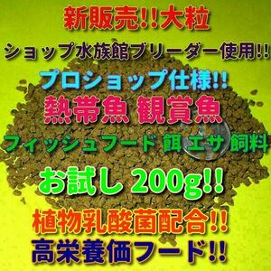 新販売! 大粒 プロ仕様 熱帯魚 餌 200g ショップ 水族館使用 エサ 飼料 エンゼル フィッシュフード ブリーダーショップ