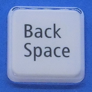 キーボード キートップ Back Space 白艶 パソコン NEC LAVIE ラヴィ ボタン スイッチ PC部品