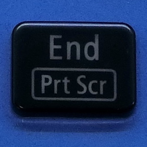  keyboard key top End Prt Scr black gloss personal computer NEC LAVIEla vi button switch PC parts 