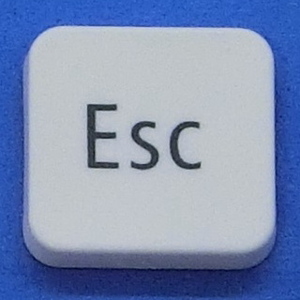 キーボード キートップ Esc 白消 パソコン NEC LAVIE ラヴィ ボタン スイッチ PC部品