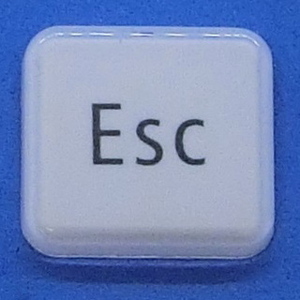  keyboard key top Esc white gloss personal computer NEC LAVIEla vi button switch PC parts 2