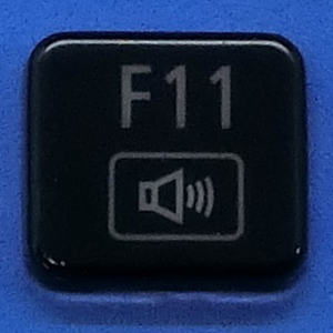 キーボード キートップ F11 黒艶 パソコン NEC LAVIE ラヴィ ボタン スイッチ PC部品 2