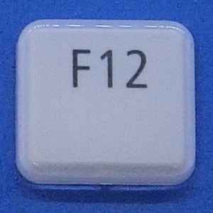 キーボード キートップ F12 白艶 パソコン NEC LAVIE ラヴィ ボタン スイッチ PC部品