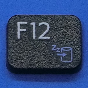 キーボード キートップ F12 黒消 パソコン SONY VAIO ソニー バイオ ボタン スイッチ PC部品