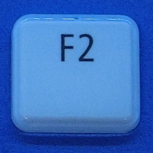 キーボード キートップ F2 白艶 パソコン NEC LAVIE ラヴィ ボタン スイッチ PC部品