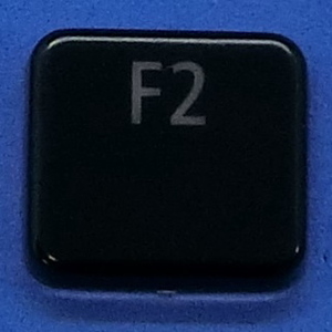キーボード キートップ F2 黒艶 パソコン NEC LAVIE ラヴィ ボタン スイッチ PC部品