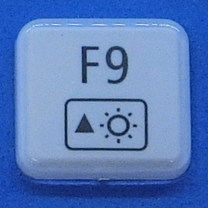  keyboard key top F9 white gloss personal computer NEC LAVIEla vi button switch PC parts 2