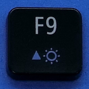 キーボード キートップ F9 黒消 パソコン NEC LAVIE ラヴィ ボタン スイッチ PC部品