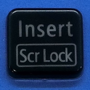 キーボード キートップ Insert Scr Lock 黒艶 パソコン NEC LAVIE ラヴィ ボタン スイッチ PC部品 3