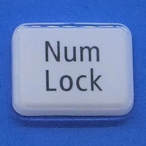 キーボード キートップ Num Lock 白艶 パソコン NEC LAVIE ラヴィ ボタン スイッチ PC部品 2