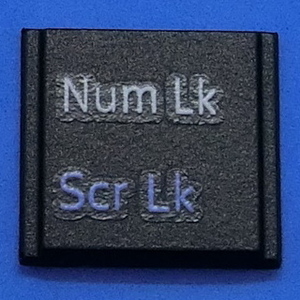 キーボード キートップ NumLk ScrLk 黒段 パソコン 富士通 FMV LIFEBOOK ライフブック ボタン スイッチ PC部品