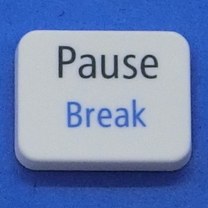  keyboard key top Pause Break white . personal computer NEC LAVIEla vi button switch PC parts 