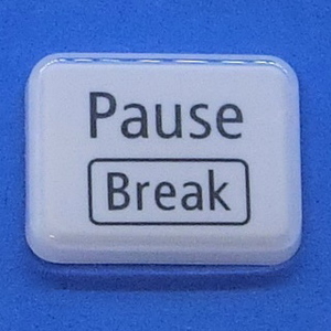 キーボード キートップ Pause Break 白艶 パソコン NEC LAVIE ラヴィ ボタン スイッチ PC部品 2