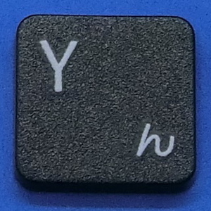 キーボード キートップ Y ん 黒消 パソコン SONY VAIO ソニー バイオ ボタン スイッチ PC部品