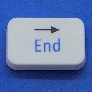 キーボード キートップ 右 End 白消 パソコン NEC LAVIE ラヴィ ボタン スイッチ PC部品