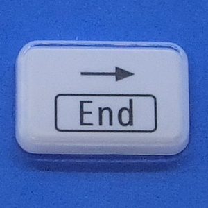 キーボード キートップ 右 End 白艶 パソコン NEC LAVIE ラヴィ ボタン スイッチ PC部品