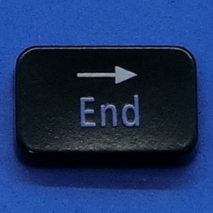 キーボード キートップ 右 End 黒消 パソコン NEC LAVIE ラヴィ ボタン スイッチ PC部品