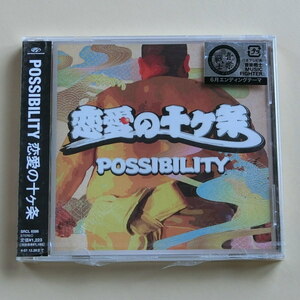 【A749】POSSIBILITY ポッシビリティー 恋愛の十ヶ条 CDアルバム