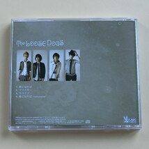 【A897】THE LOOSE DOGS ザ ルーズドッグス 夜になれば CDアルバム_画像2