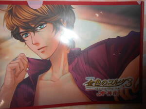 金色のコルダ3 AnotherSky feat.神南 榊大地 クリアファイル PSPソフトGAMECITY特典