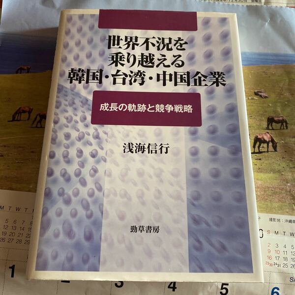 世界不況を乗り越える韓国・台湾・中国企業　成長の軌跡と競争戦略 浅海信行／著