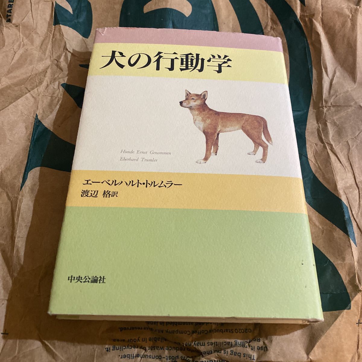 犬と猫の検査・手技ガイド2019 【裁断済】 理学、工学 農学 www