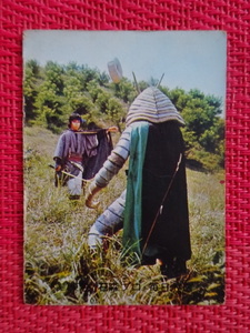 J Calbee Old Kamen Rider Card № 268 27 Бюро R11 В то время, семейная семья падает водопад