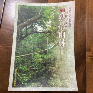 オランウータンの森　東南アジアの熱帯雨林を探る　第23回企画展