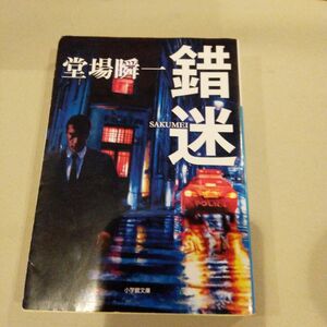 錯迷 （小学館文庫　と４－４） 堂場瞬一／著