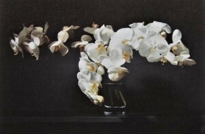 「白い花」、五味 文彦、静物、旅情、厳選、希少画集・額装、人物画、人気作品、新品額 、状態良好、送料無料