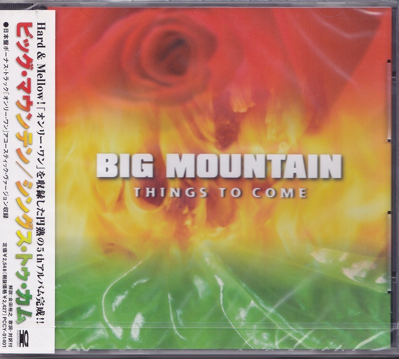 Yahoo!オークション -「ビッグマウンテン cd」(音楽) の落札相場