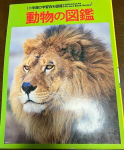 送料無料 小学館の学習百科図鑑5 動物の図鑑 学習ポスター付き ほ乳動物のなかまたち 絵で見るABC 世界の動物 区域別 哺乳類 爬虫類 両生類