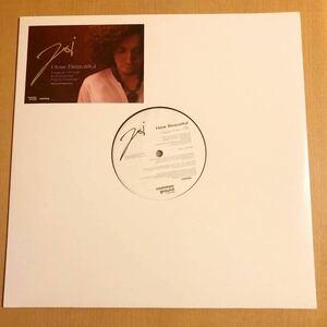 新品同様 JOI HOW BEAUTIFUL 12INCH FRANCOIS K JOE CLAUSSELL DANNY KRIVIT LOUIE VEGA BLAZE TIMMY REGISFORD DJ SPINNA BODY&SOUL